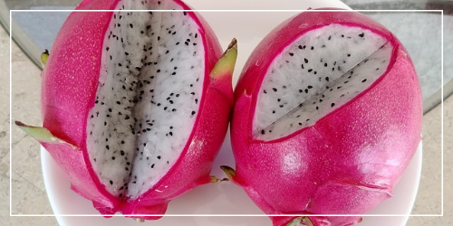용과의 효능과 효과 칼로리