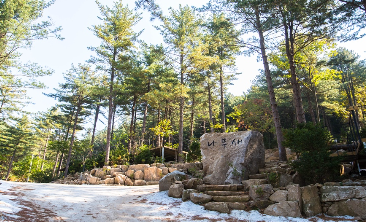 경기-포천-나무새캠핑장-사진-입니다.