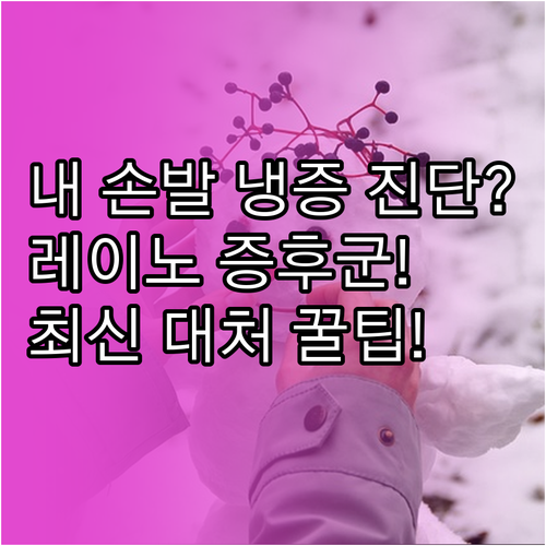 수족냉증 원인별 증상 구분 레이노 증..