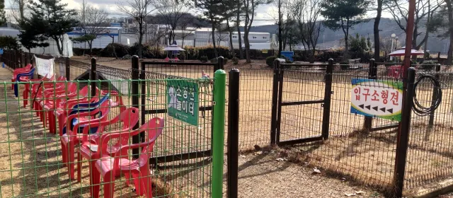 정남 펀랜드 반려견