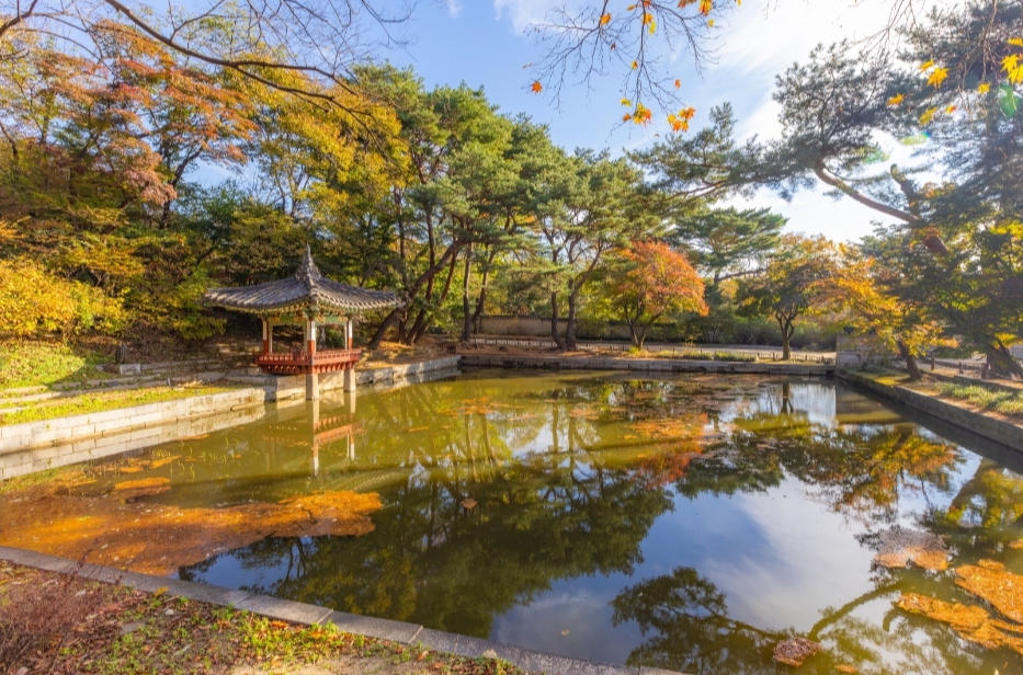 창덕궁 후원