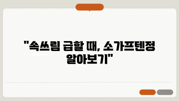 소가프텐정 효능 가격 부작용 제산제 속쓰림 총정리