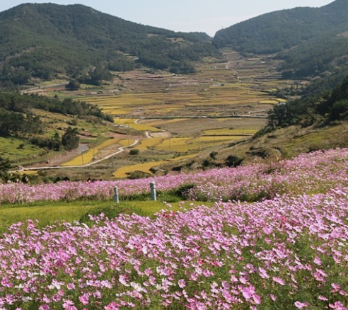 가을-여행하기-좋은-곳-추천