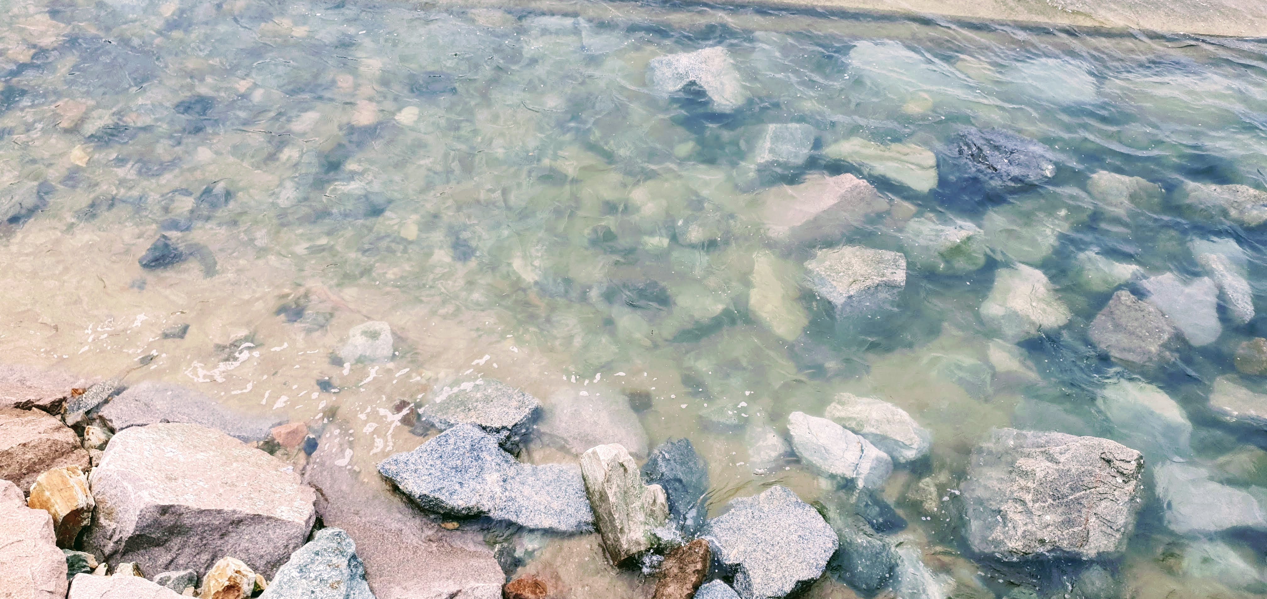 함평돌머리해수욕장핑크뮬리