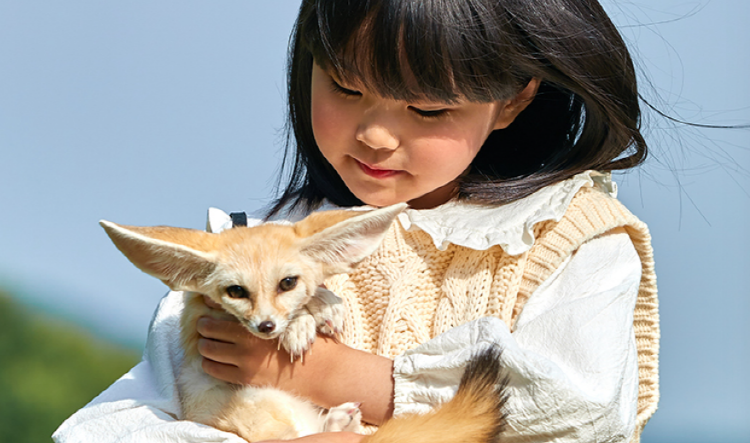 홍천 알파카월드