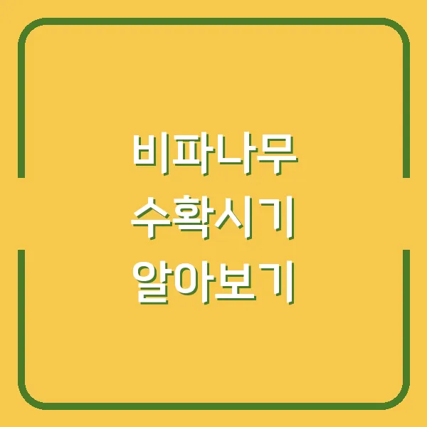 비파나무 수확시기 알아보기