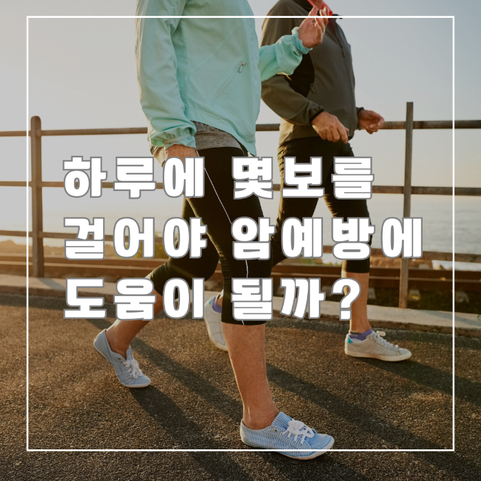 걷기 와 암예방