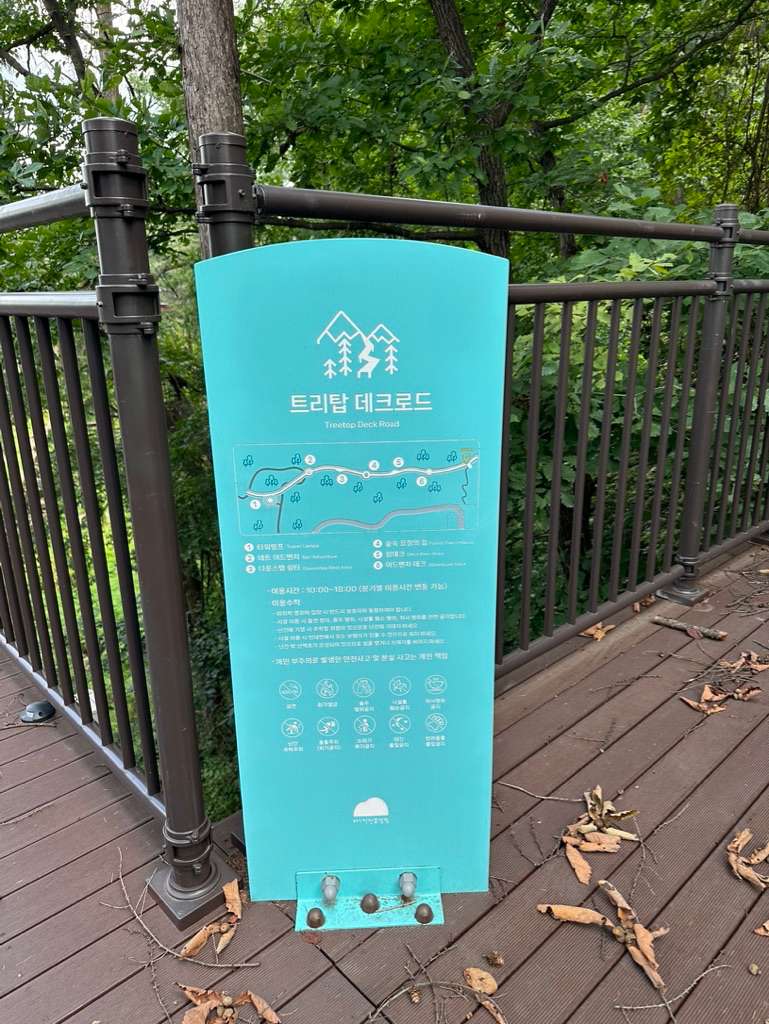 트리탑 데크로드