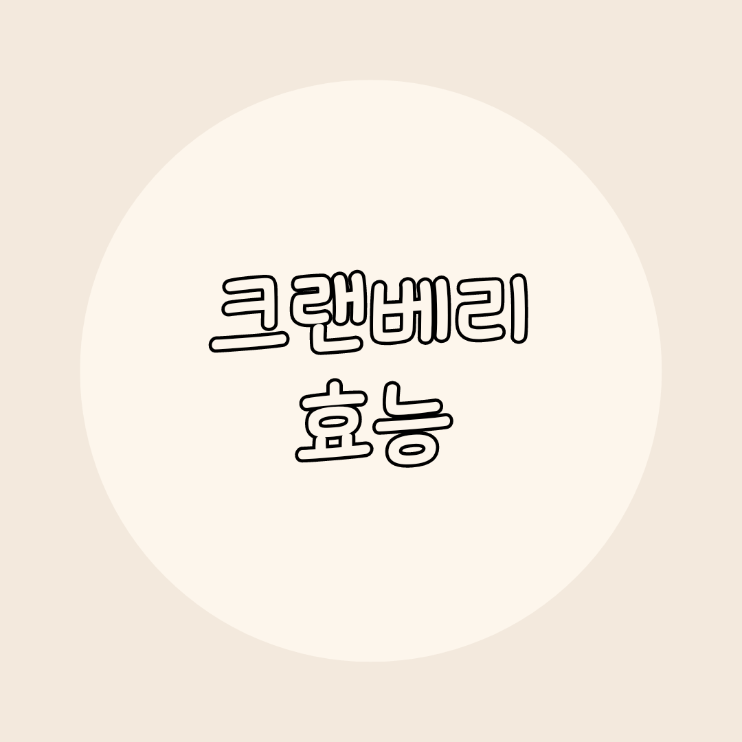 크랜베리의 효능