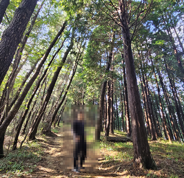 남해 가볼만한곳 베스트10