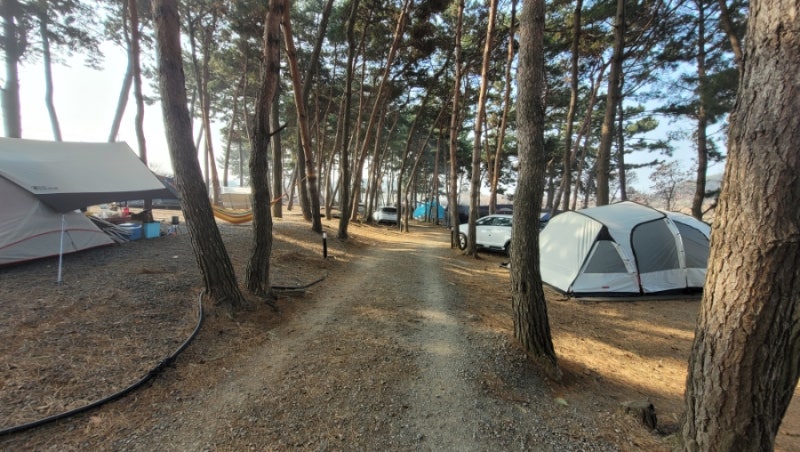 충남 서천 늘푸른캠핑장 소개