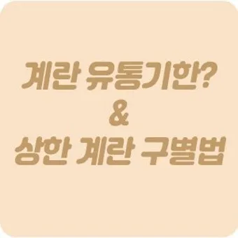유통기한 구분 소비기한 품질유지기한 보관온도 버리는 기준_13