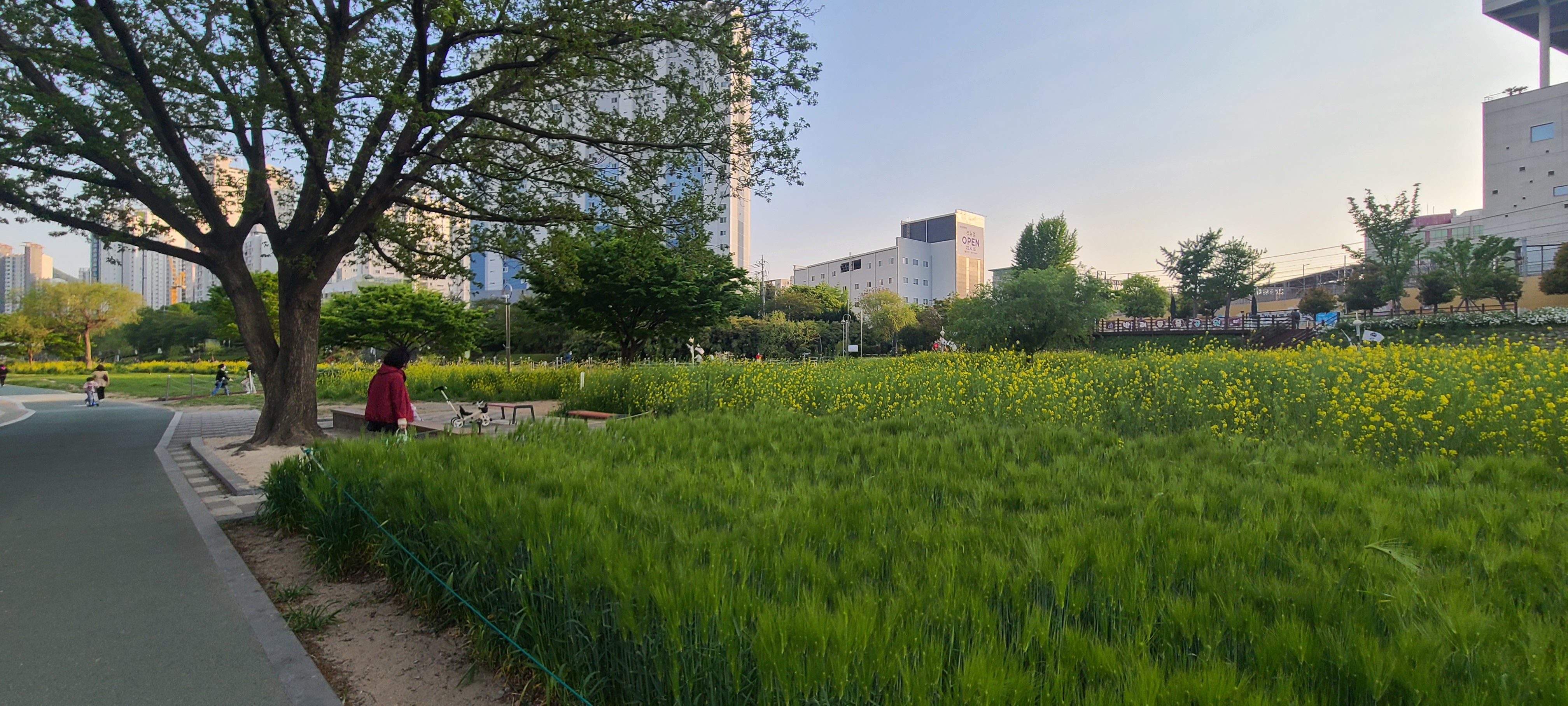 야외 마스크 해제