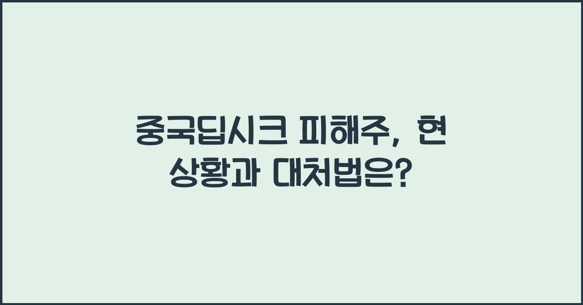 중국딥시크 피해주