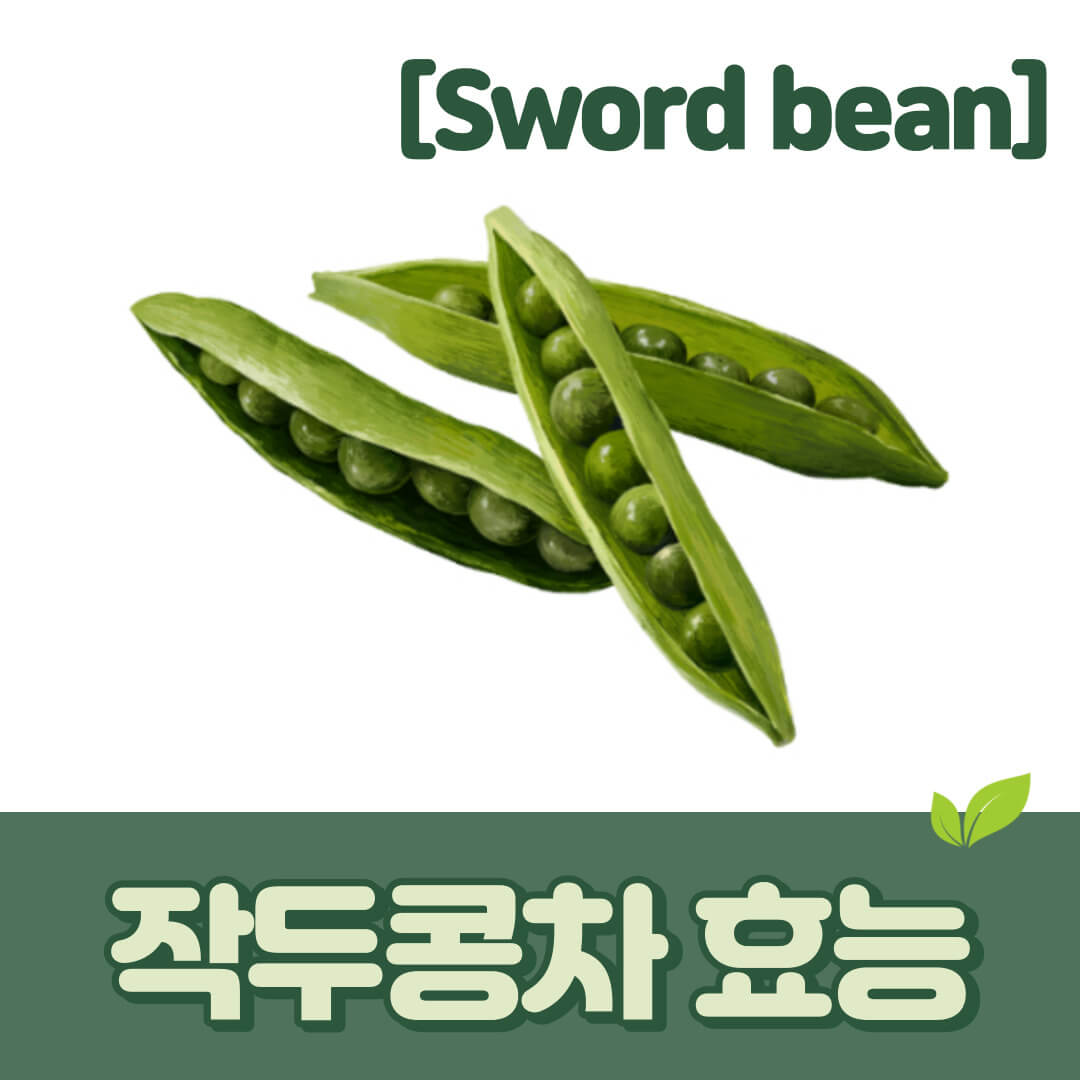 작두콩차