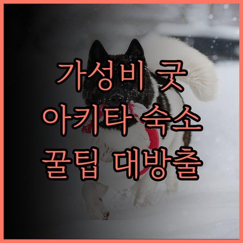가성비 최고 다이와 로이넷 호텔 아키