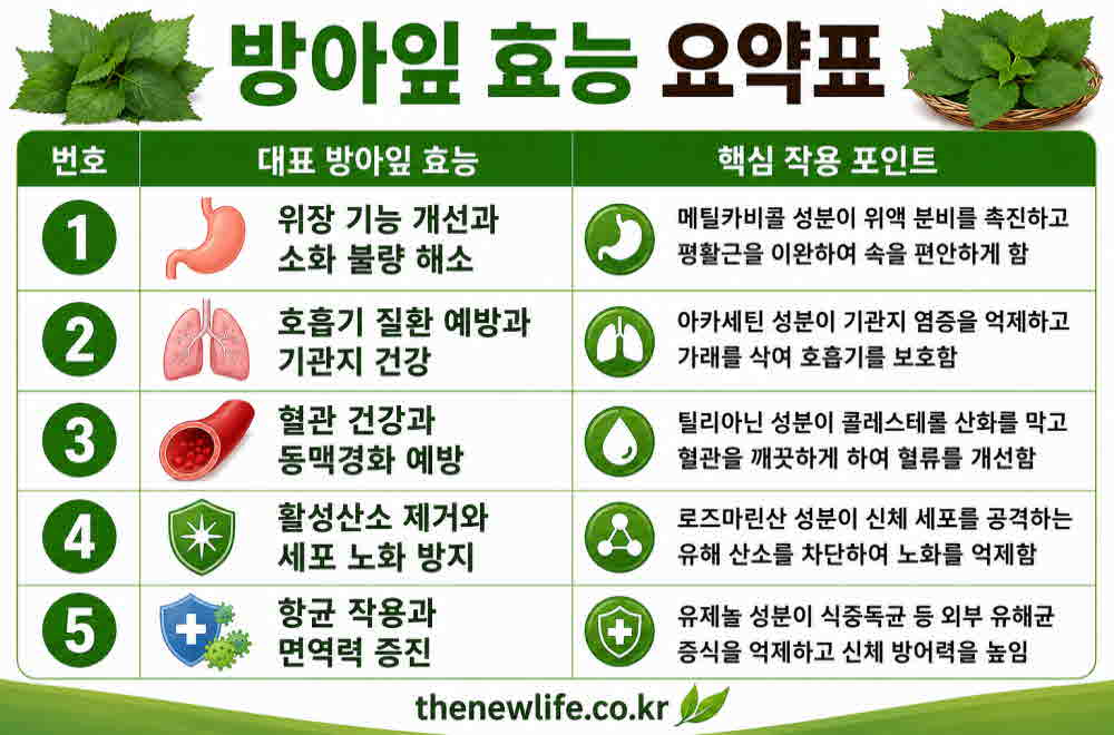 방아잎 효능 요약표
