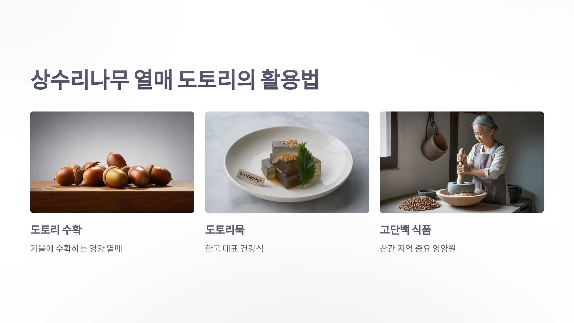 참조-상수리나무-4