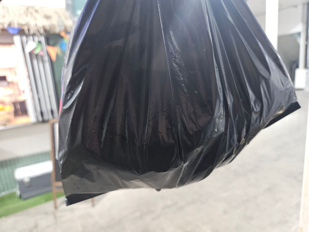 궁평항 수산물 센터 새우