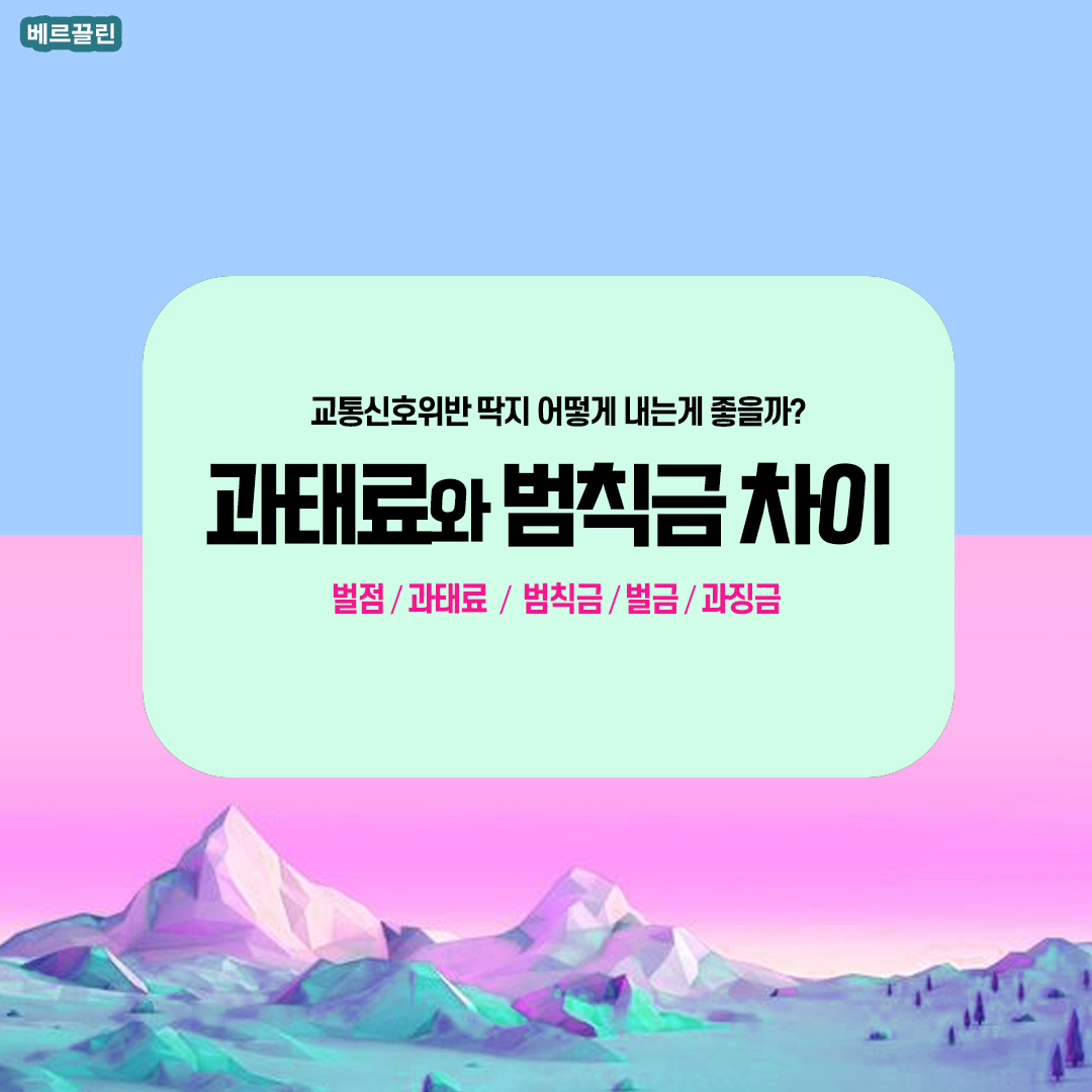 신호위반 과태료 범칙금
