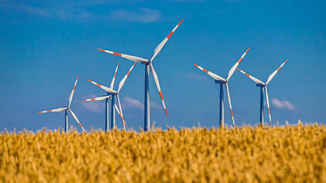 기업의 ESG 경영 사례와 경제적 이점: 지속 가능한 미래를 위한 선택