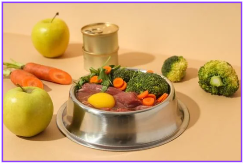 반려동물 건강식 필수 건강식 7가지