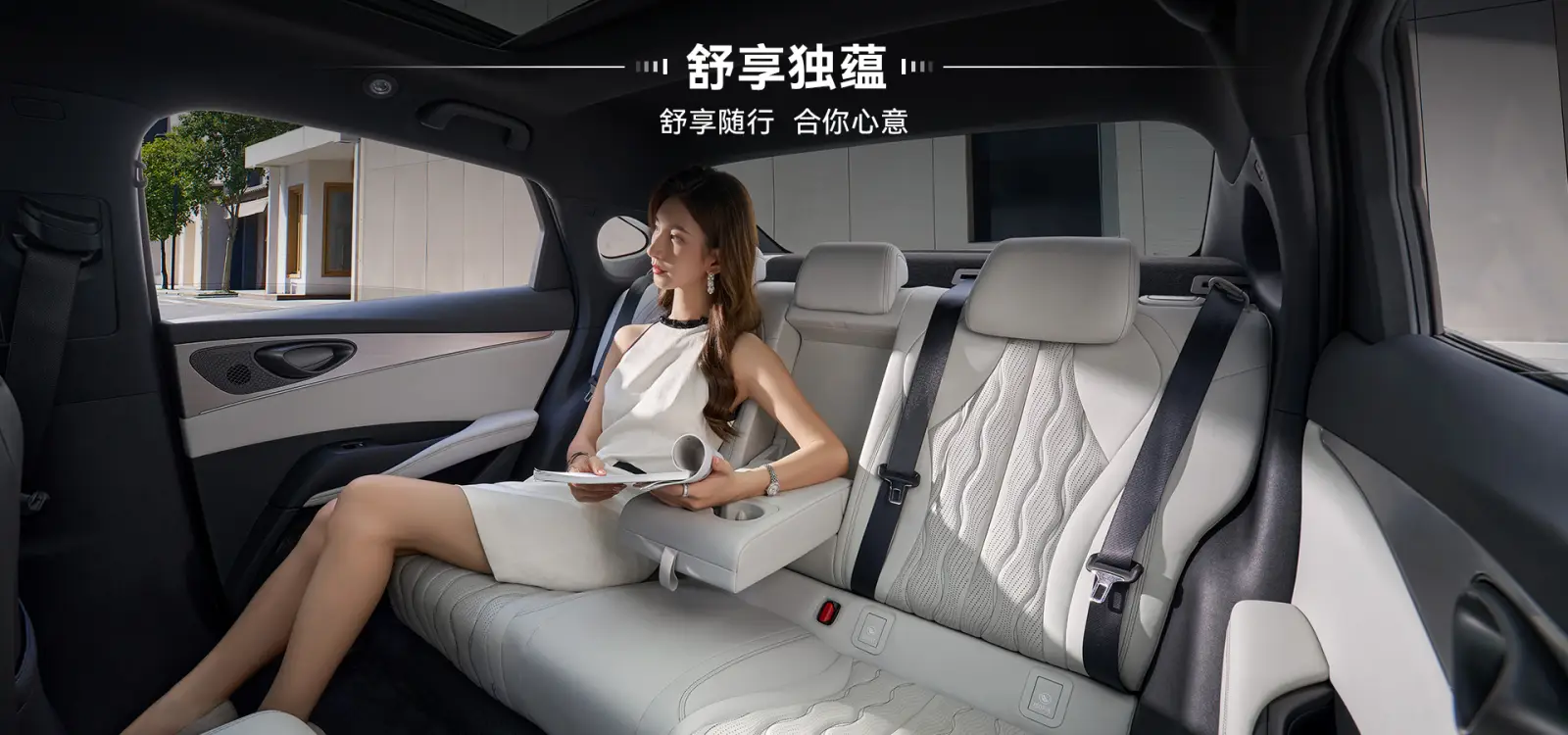 BYD(비야디) 전기 자동차 씰 내부