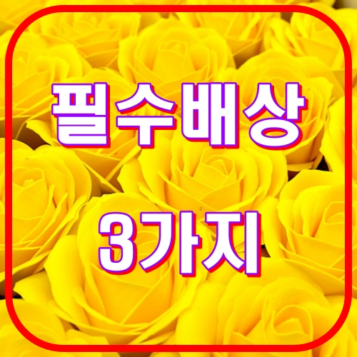 필수배상 3가지