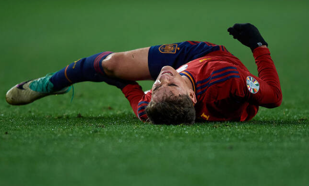 가비 십자인대 파열