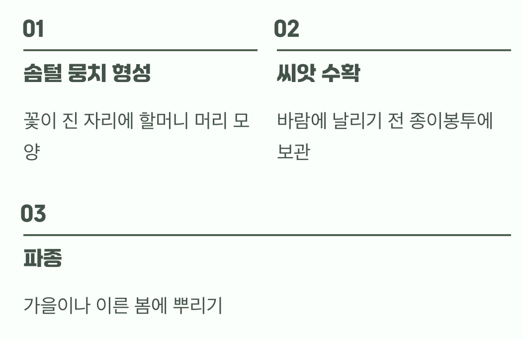 꽃 진 뒤의 반전 매력, 그리고 씨앗 받기