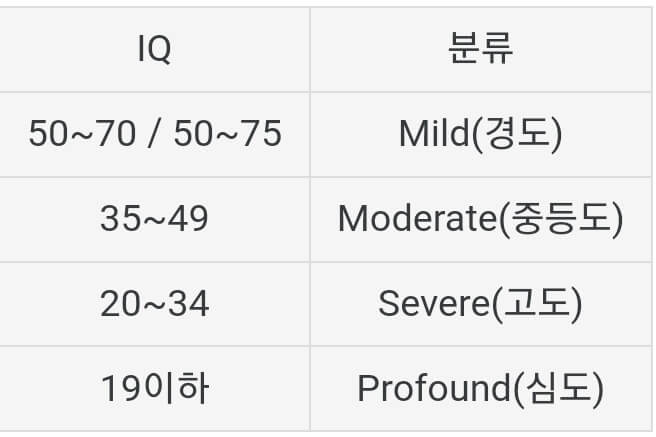 외국의 지적장애 판정 기준