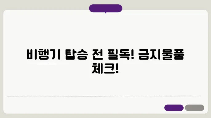 국내선 비행기 안전 관리