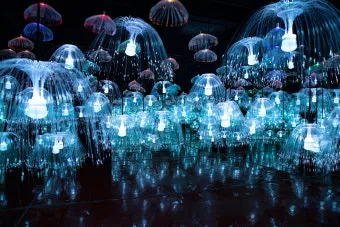 제주도 비올때 가볼만한곳 10곳 추천 실내 관광지로 모음_12