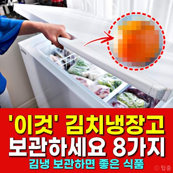 김치냉장고 보관하면 좋은 음식품,팁줌
