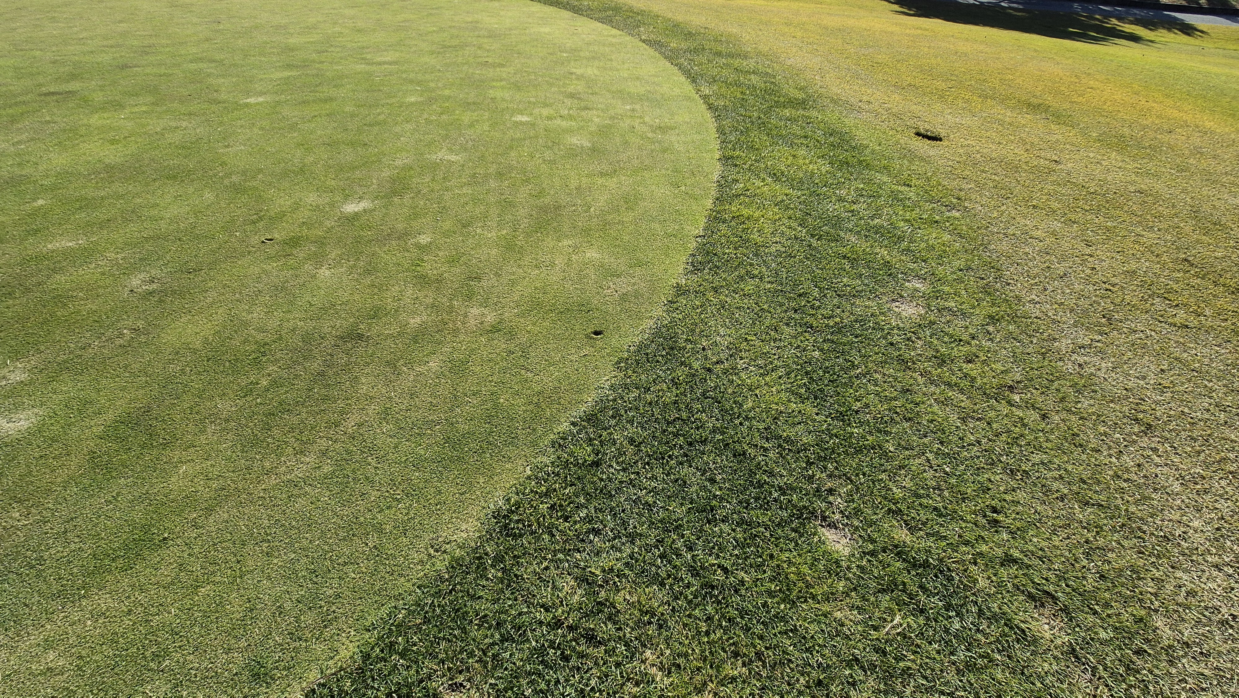 동촌gc 그린관리상태