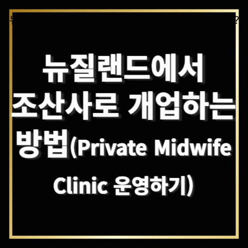 뉴질랜드에서 조산사로 개업하는 방법 (Private Midwife Clinic 운영하기)