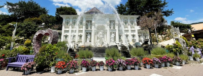 포천 허브아일랜드 불빛동화축제 여행 정보 (2024)