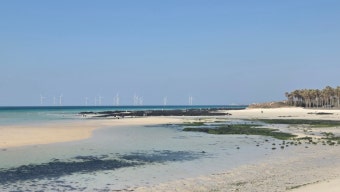 제주 메가 커피