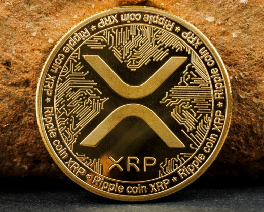 XRP 리플