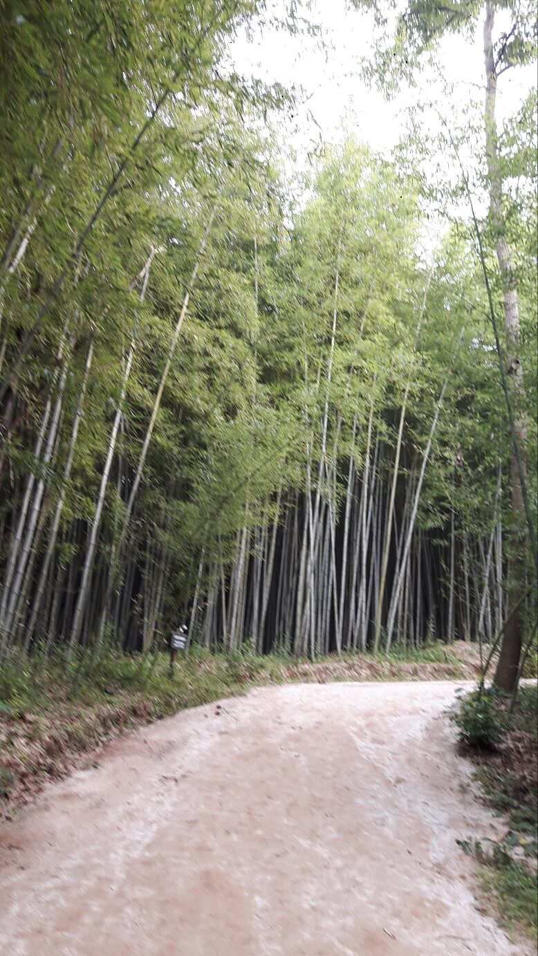 부자들이 실천하는 상속세 절세 비법