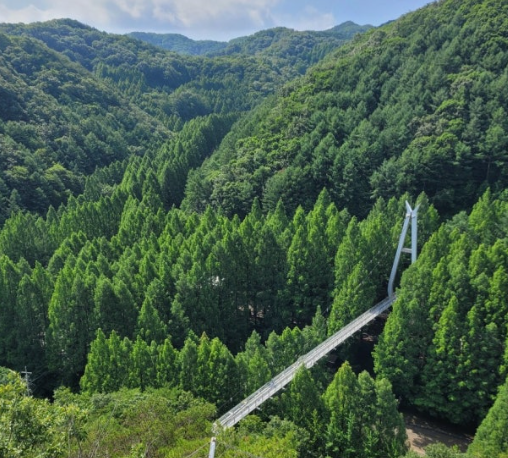 대전 장태산 자연휴양림 출렁다리