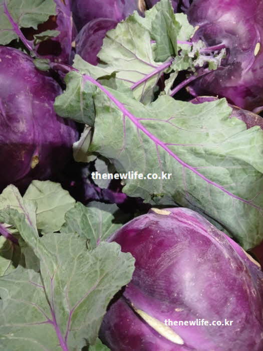 콜라비 효능 중 혈관 건강에 좋은 칼륨이 풍부한 실사진