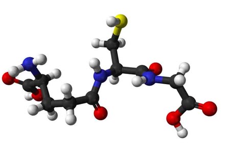 글루타치온-분자