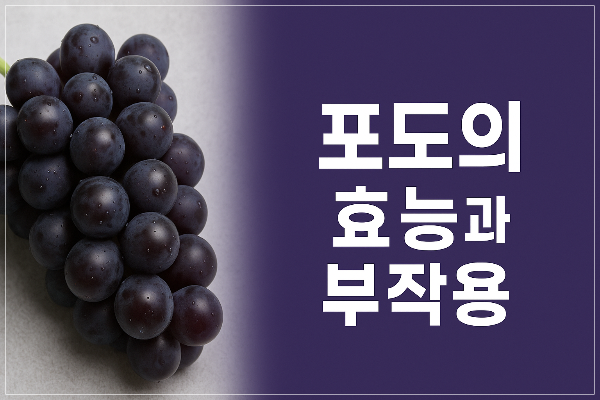 포도의 효능과 부작용