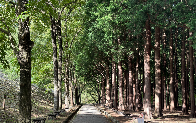 양산 법기수원지
