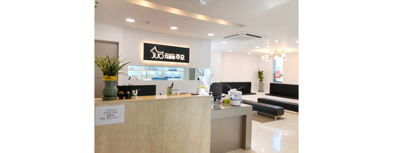 서울 중랑구 동물병원