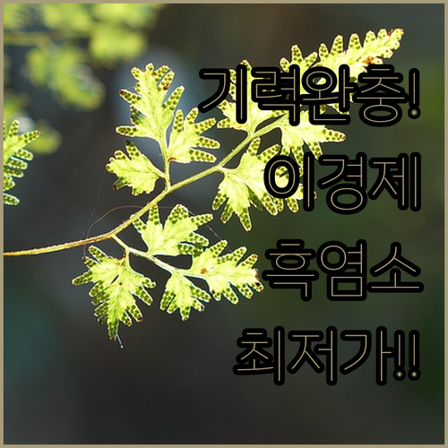 기력 회복에 좋은 이경제 흑염소 진액..