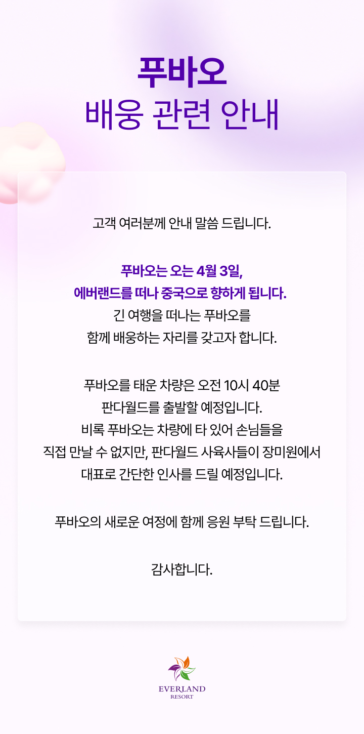 푸바오 배웅행사 안내장 에버랜드