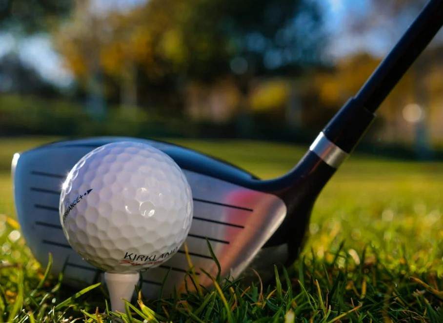 2025 프리미엄 골프장 입회비 비교 및 분석