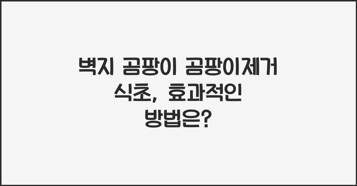 벽지 곰팡이 곰팡이제거 식초